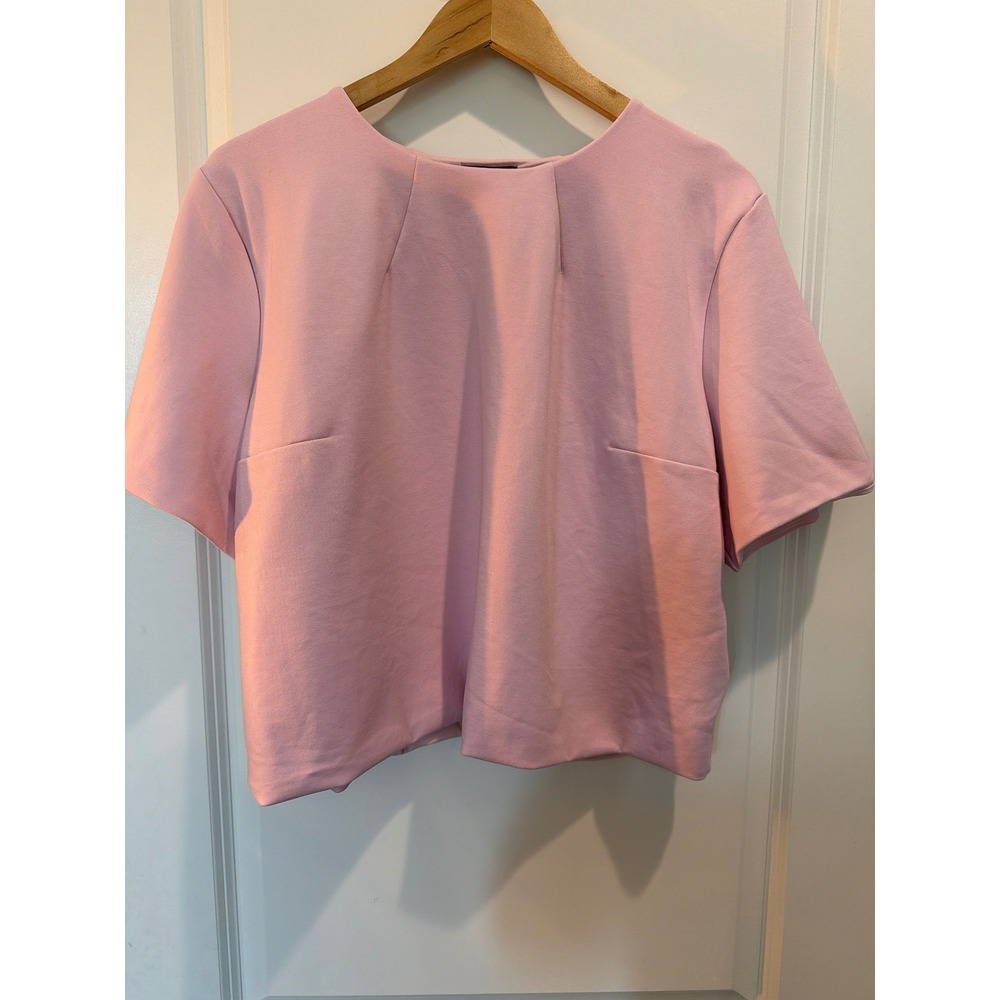 Express Womens XL Pink Short Sleeve Darted Round Neck Blouse Top